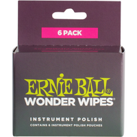 ERNIE BALL EB 4278 produkt do konserwacji gitary (lakier)