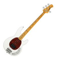 STERLING RAY 24 CA (OWH-M1) bas elektryczny