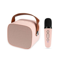 NN PM1 bezprzewodowy przenośny zestaw karaoke